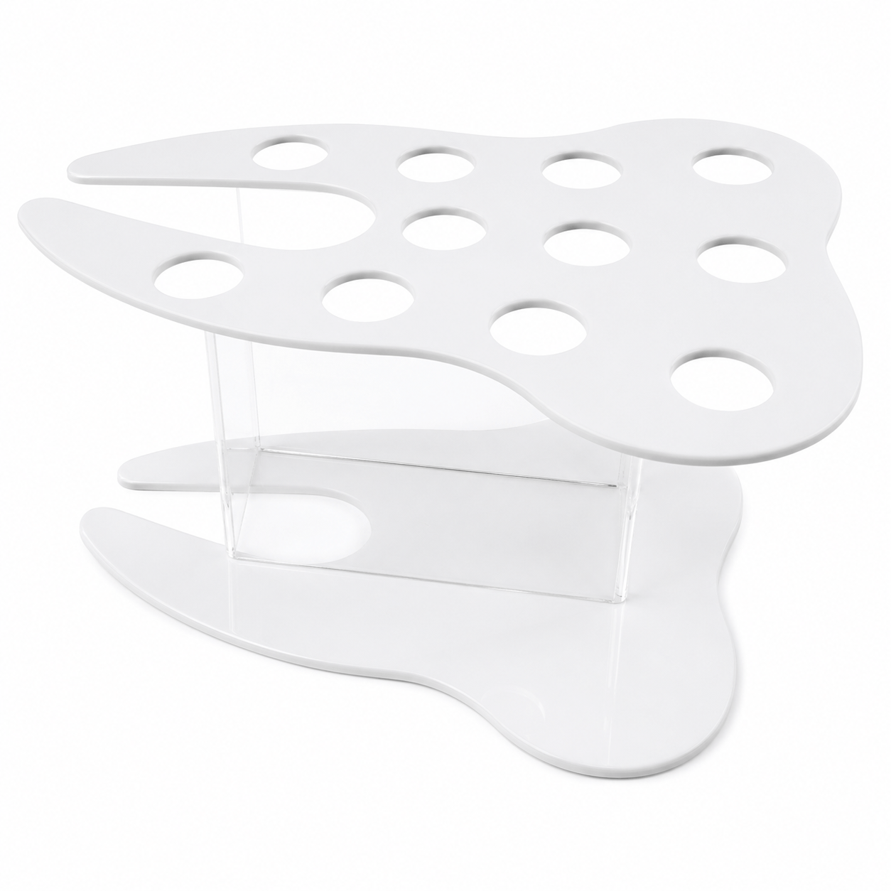 Porta Resinas de Acrílico con Forma de Muela para Consultorio Dental